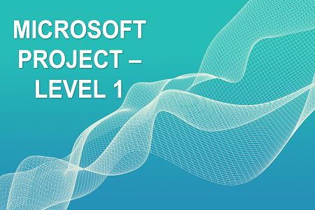 Microsoft Project Level - I