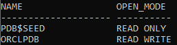 Steps To Open The Pluggable Database