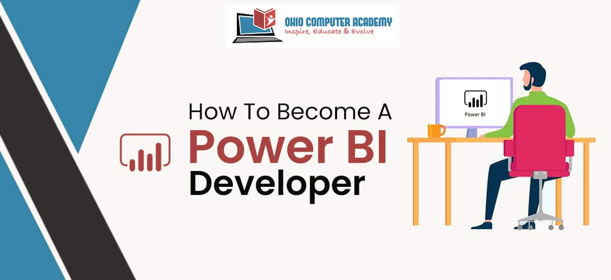 Power Bi Developer