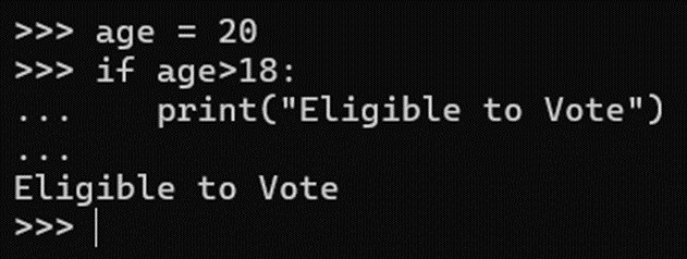 The IF control statement in Python.